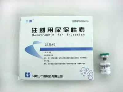 哪一天我们会飞