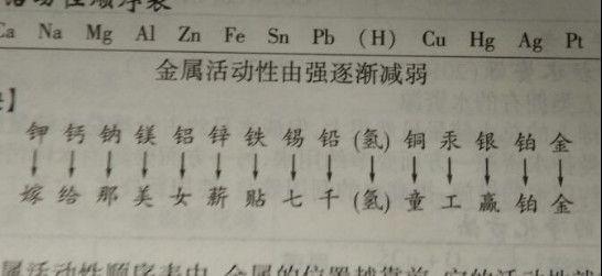 反恐特警组：火速救援