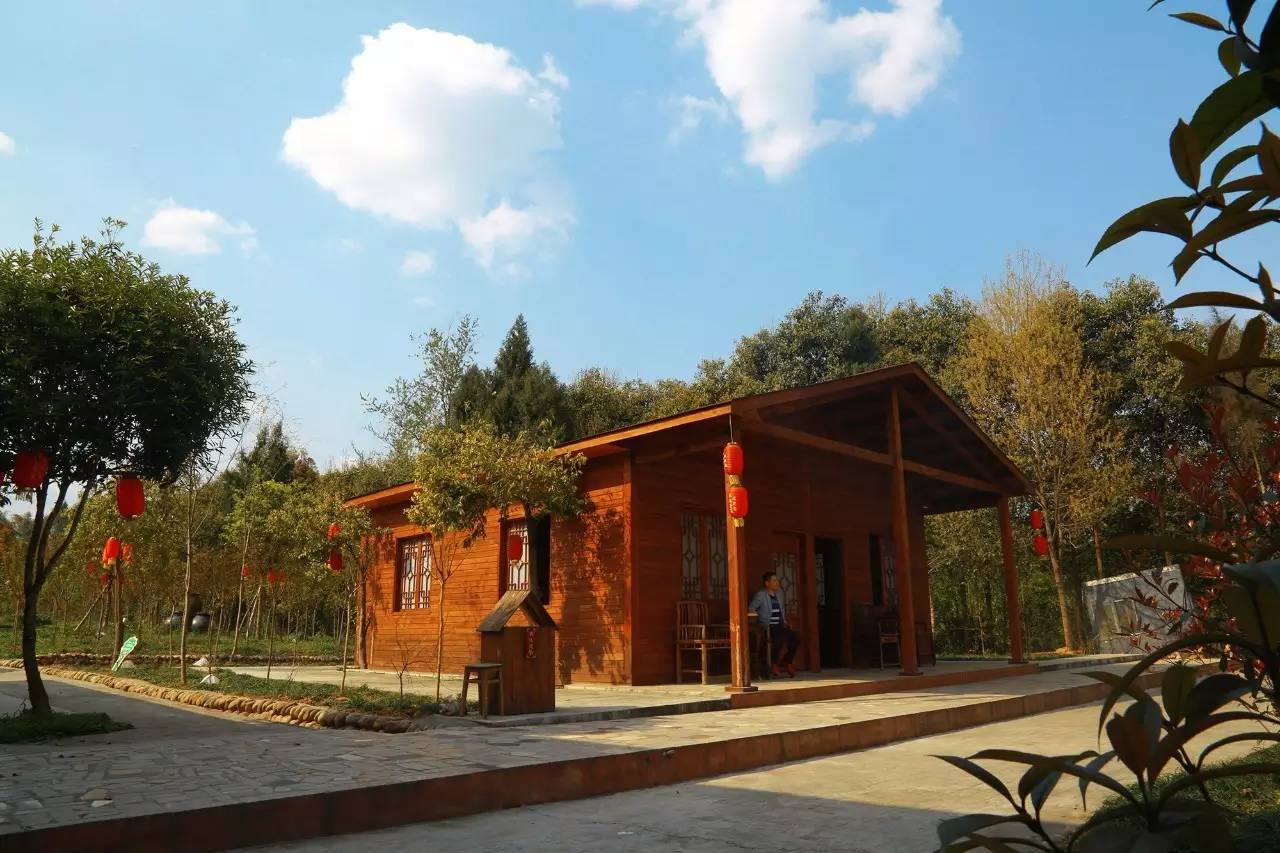 克莱拉与熊的秘密