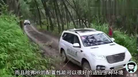 喜羊羊与灰太狼之筐出未来（粤语版）