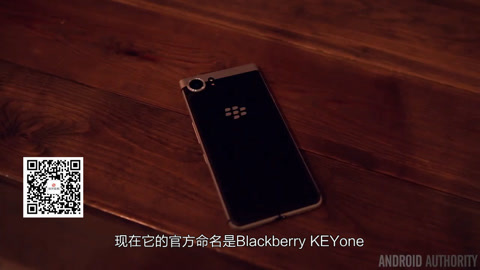 八月桂花遍地开