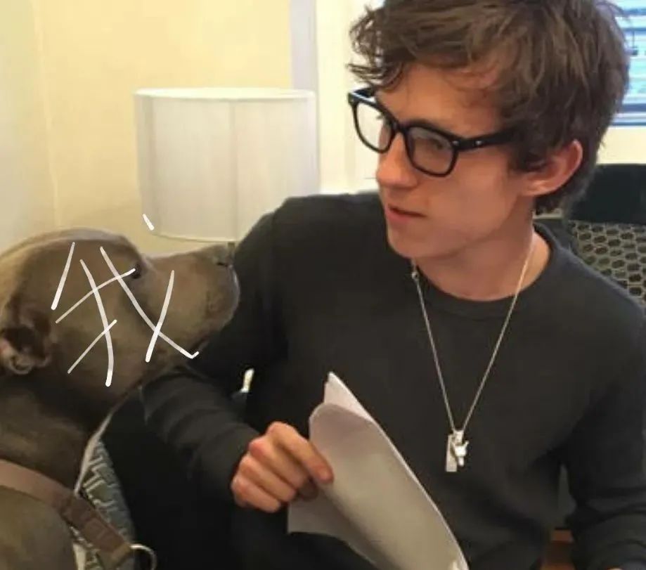 六扇门之御前盗圣