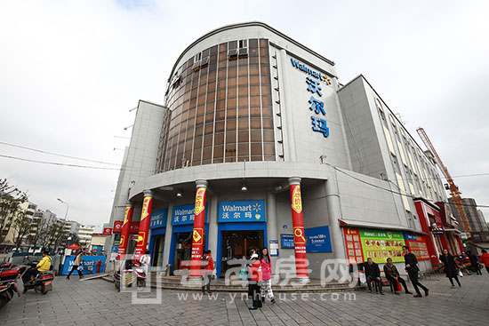 关于史蒂夫的一切