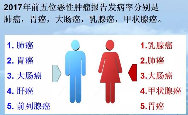 克里斯托弗·罗宾