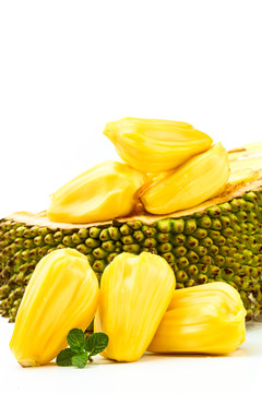 养蜂人 （英语版）