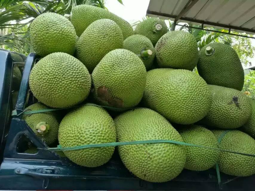 再见金钱，前往贫困村