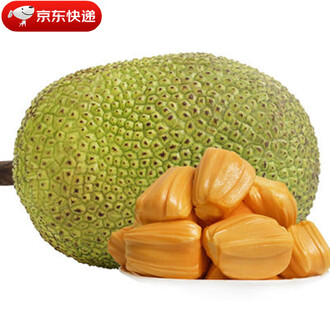 兵临城下之决战要塞